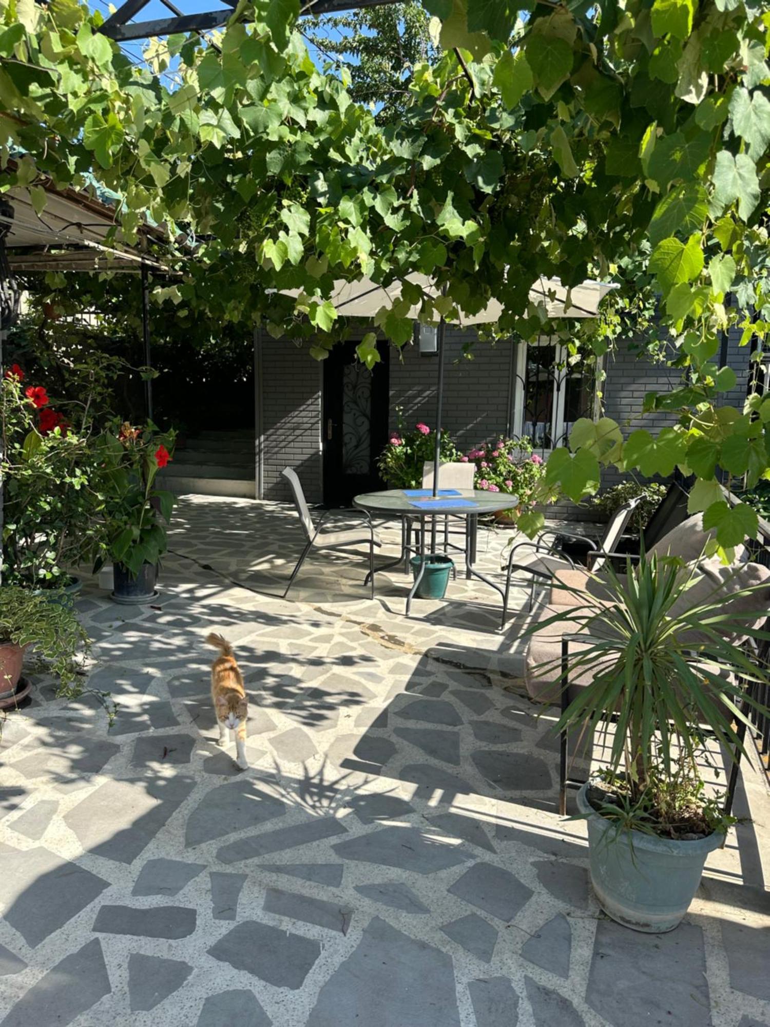 Apartment Lui Tbilisi Exteriér fotografie