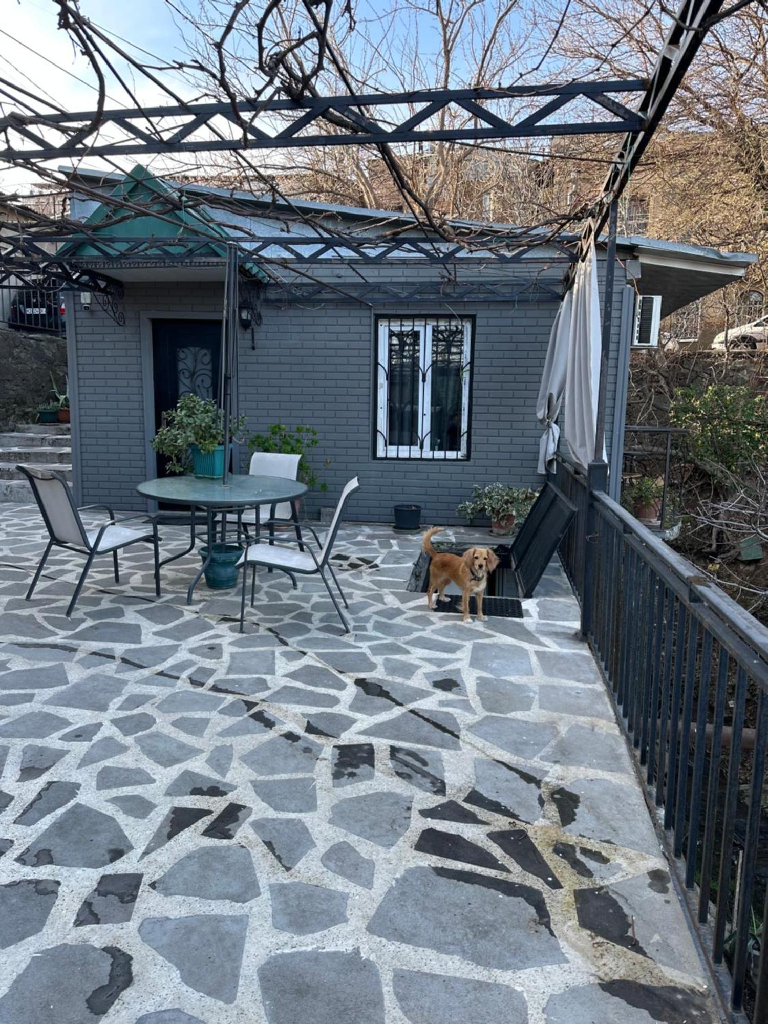 Apartment Lui Tbilisi Exteriér fotografie